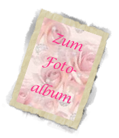 Zum
Foto-
album