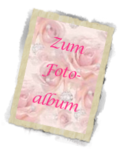 Zum
Foto-
album