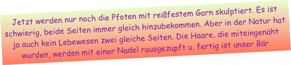 Jetzt werden nur noch die Pfoten mit reißfestem Garn skulptiert. Es ist schwierig, beide Seiten immer gleich hinzubekommen. Aber in der Natur hat ja auch kein Lebewesen zwei gleiche Seiten. Die Haare, die miteingenäht wurden, werden mit einer Nadel rausgezupft u. fertig ist unser Bär.