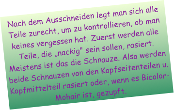 Nach dem Ausschneiden legt man sich alle Teile zurecht, um zu kontrollieren, ob man keines vergessen hat. Zuerst werden alle Teile, die „nackig" sein sollen, rasiert. Meistens ist das die Schnauze. Also werden beide Schnauzen von den Kopfseitenteilen u. Kopfmittelteil rasiert oder, wenn es Bicolor-Mohair ist, gezupft.