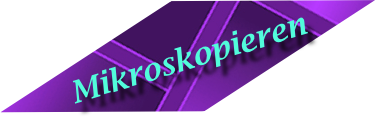 Mikroskopieren