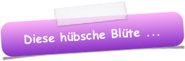 Diese hübsche Blüte ...